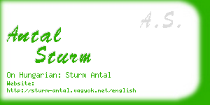 antal sturm business card